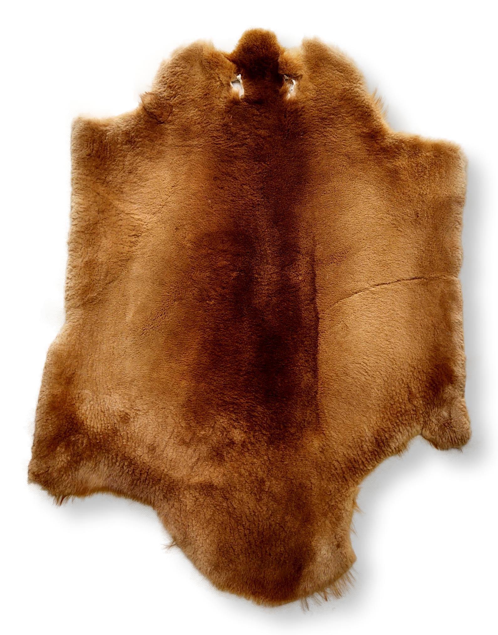 Beaver Sheared Honnie - Klædt pelshud - pels - Image 4