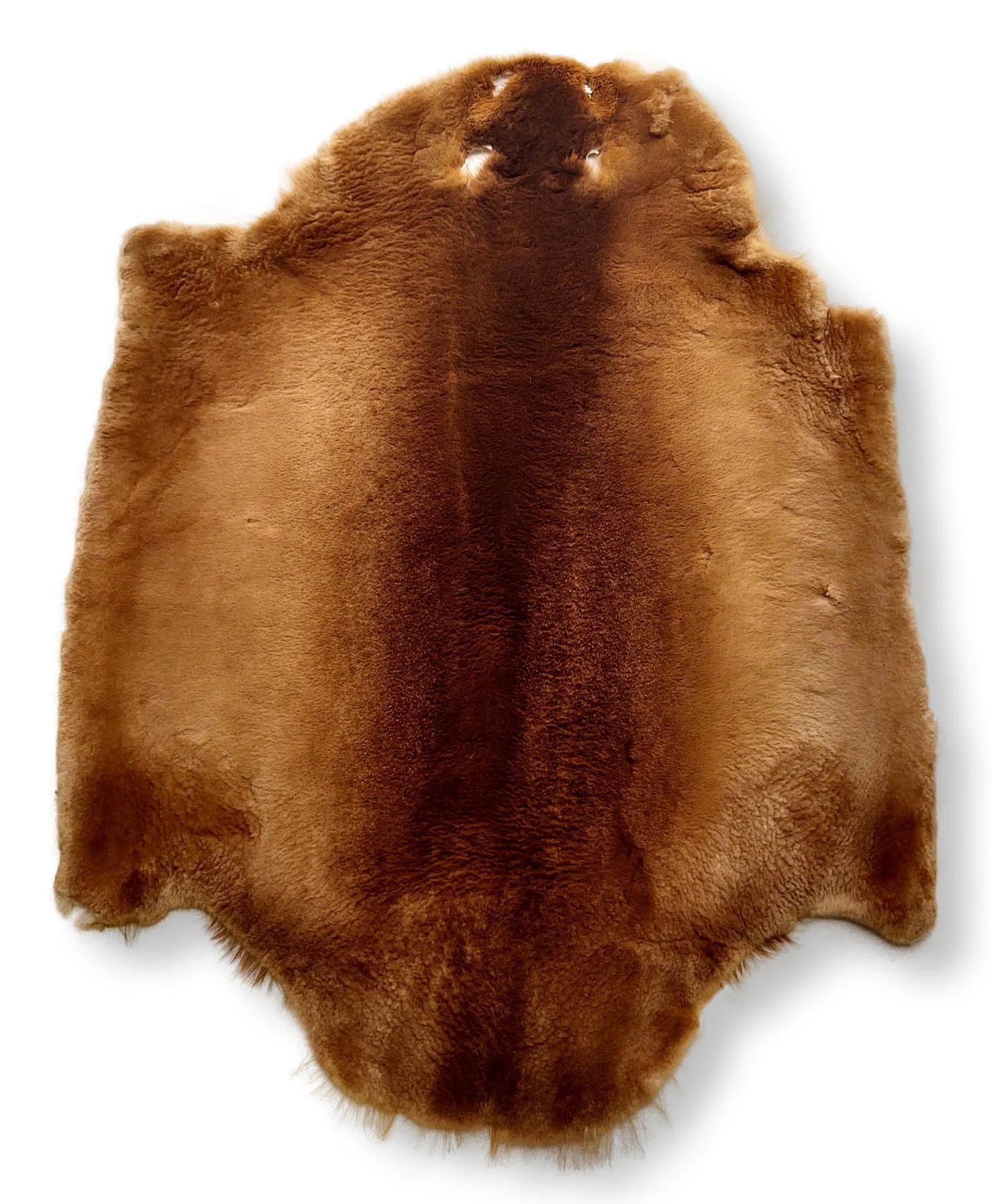 Beaver Sheared Honnie - Klædt pelshud - pels - Image 6