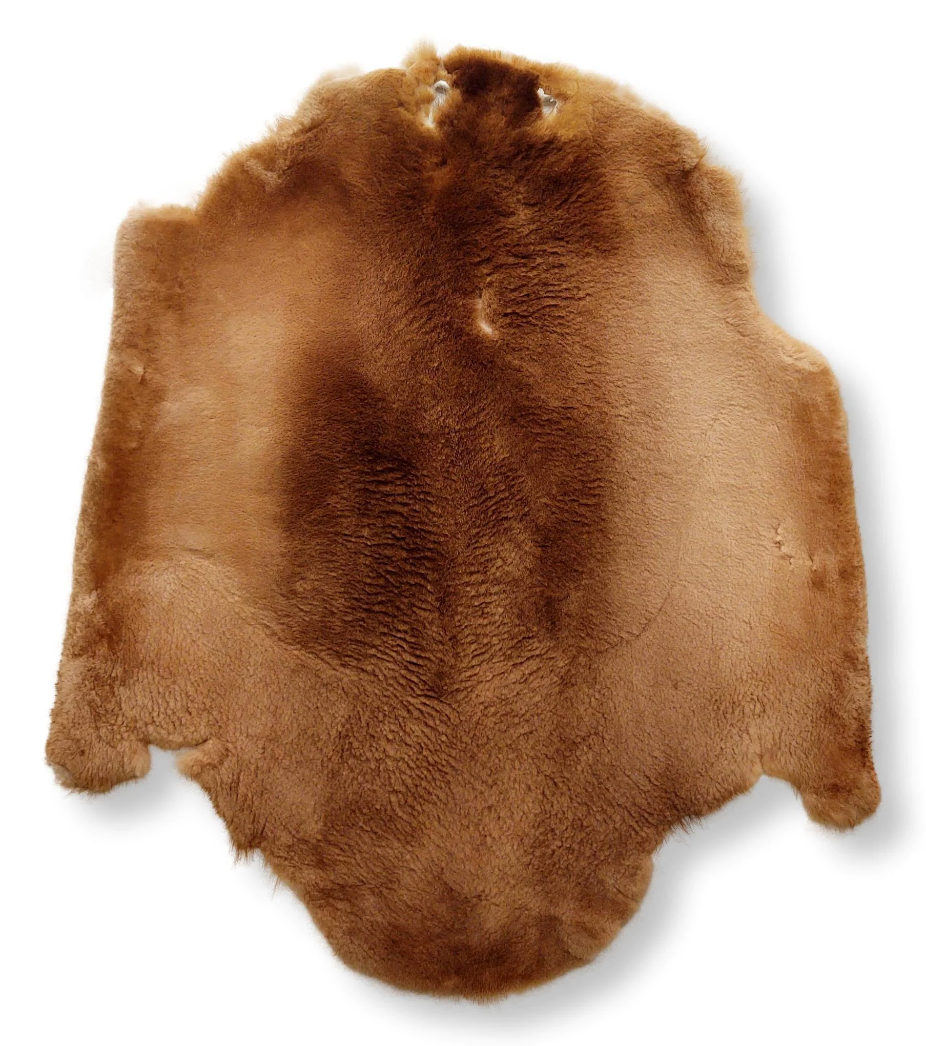 Beaver Sheared Honnie - Klædt pelshud - pels - Image 7