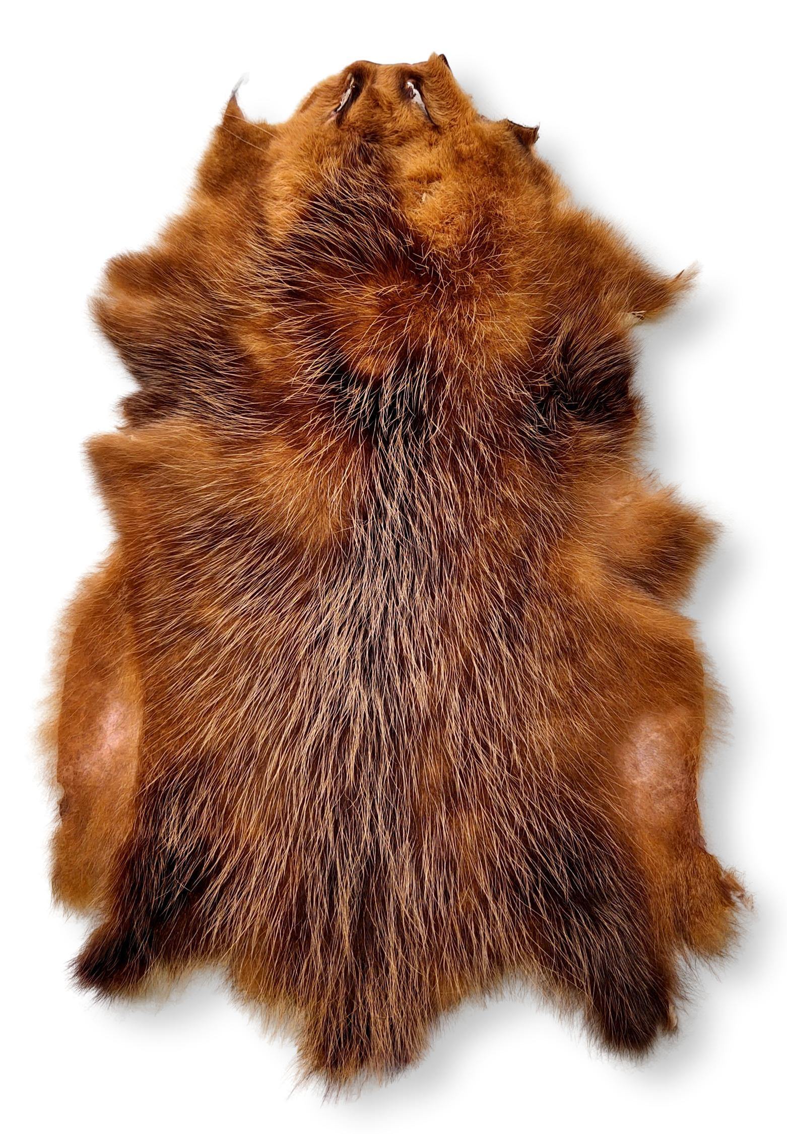 Opossum Brown - Klædt pelshud - pels - Image 13