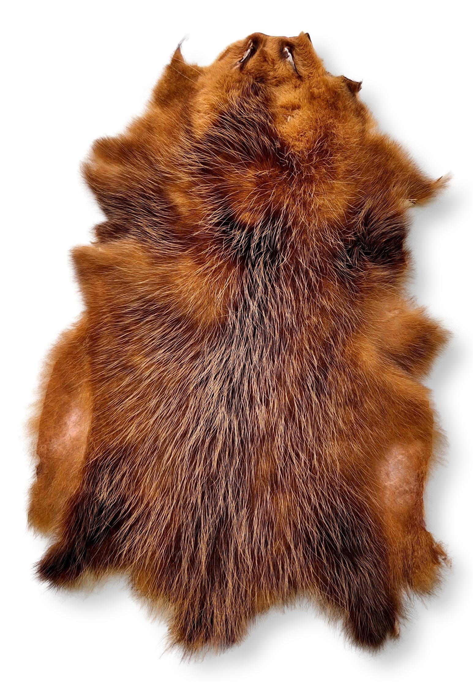 Opossum Brown - Klædt pelshud - pels - Image 3