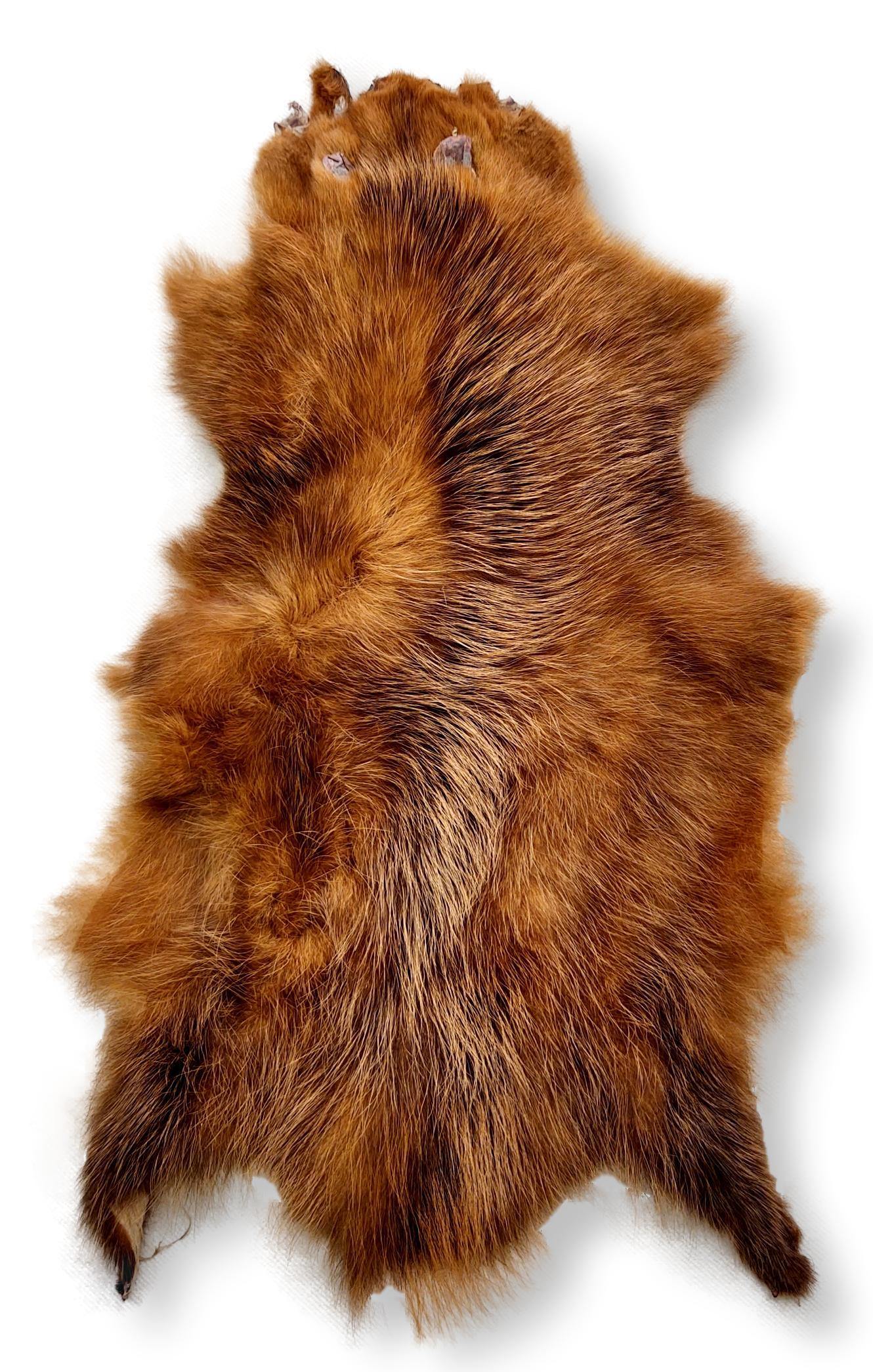 Opossum Brown - Klædt pelshud - pels - Image 4