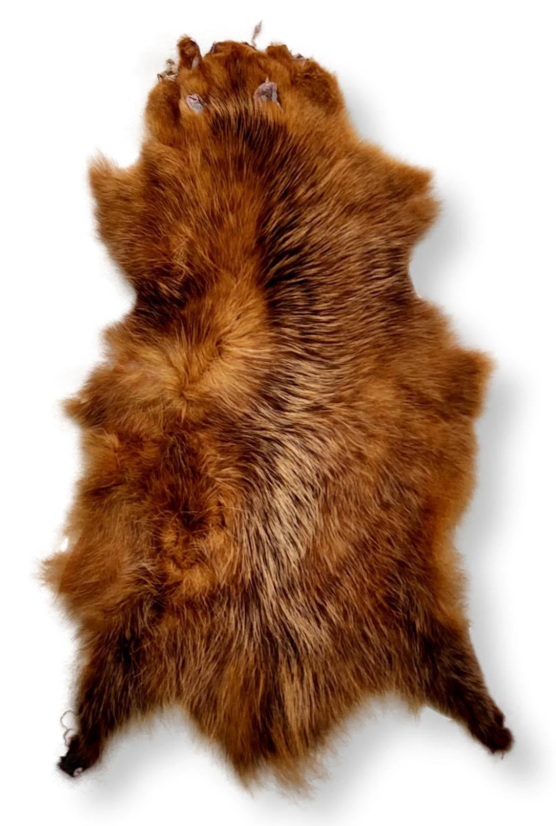 Opossum Brown - Klædt pelshud - pels - Image 5