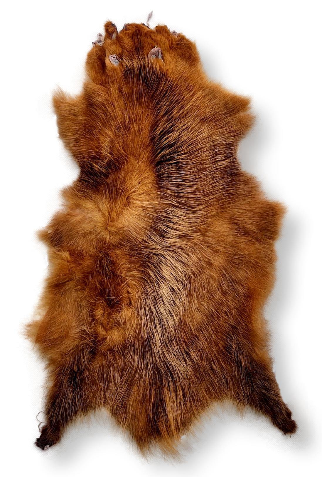 Opossum Brown - Klædt pelshud - pels - Image 6