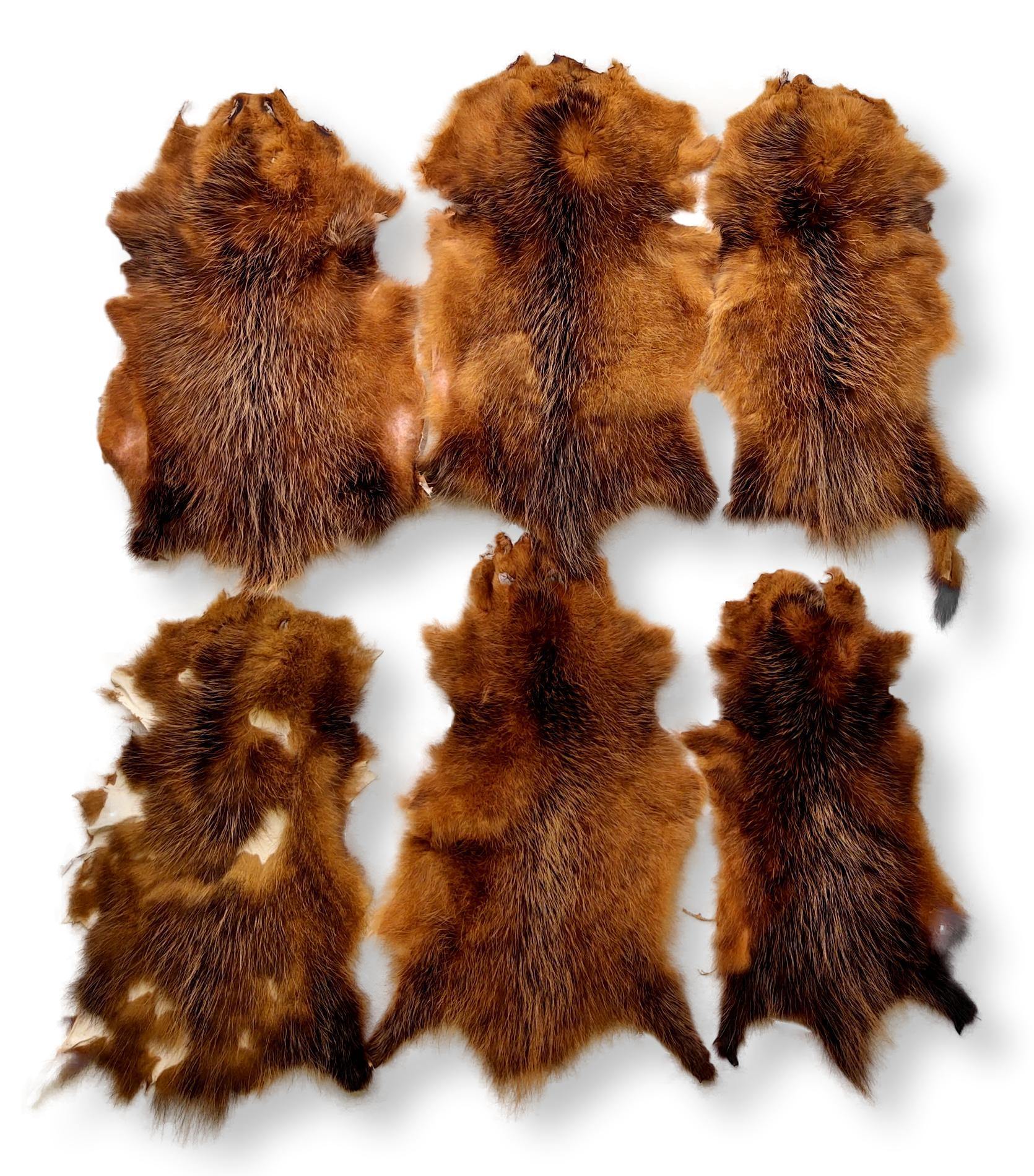 Opossum Brown - Klædt pelshud - pels - Image 7