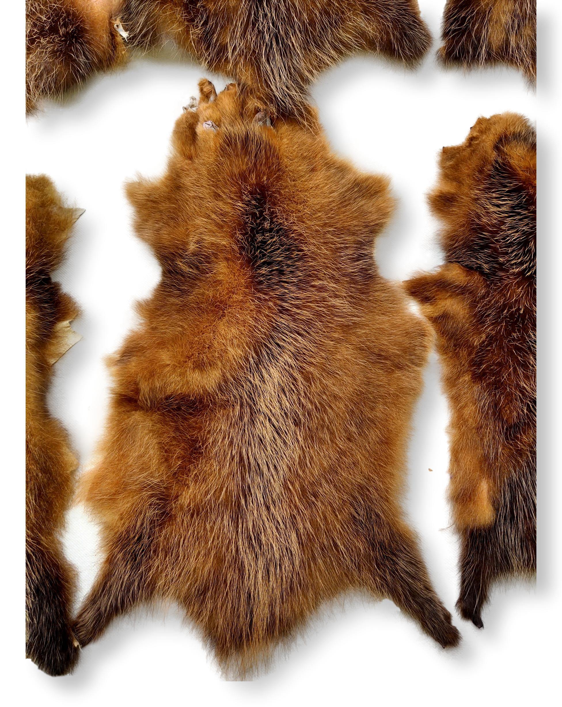 Opossum Brown - Klædt pelshud - pels - Image 8