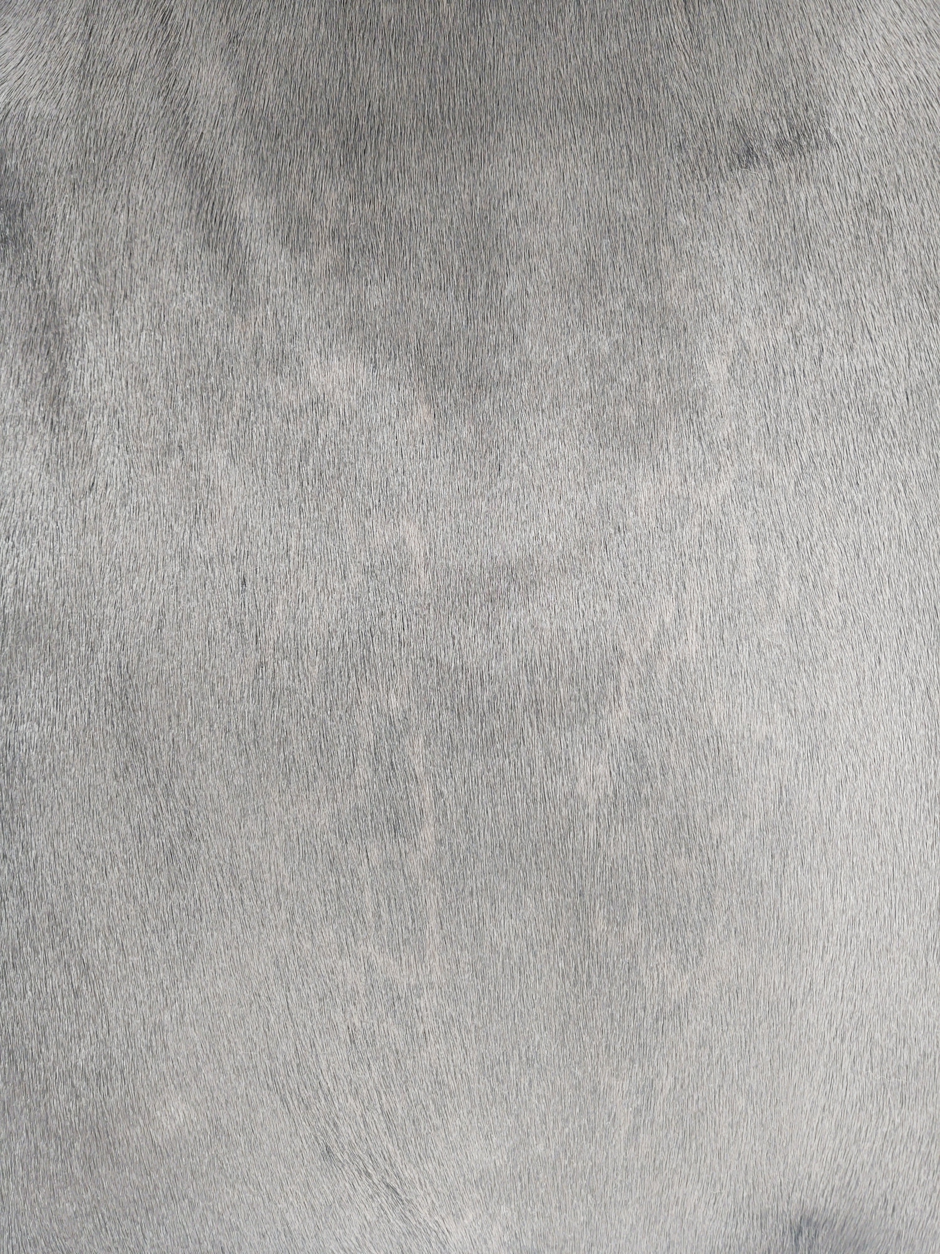 Ringet segl - brun - klædt pelshud - pels - Image 5