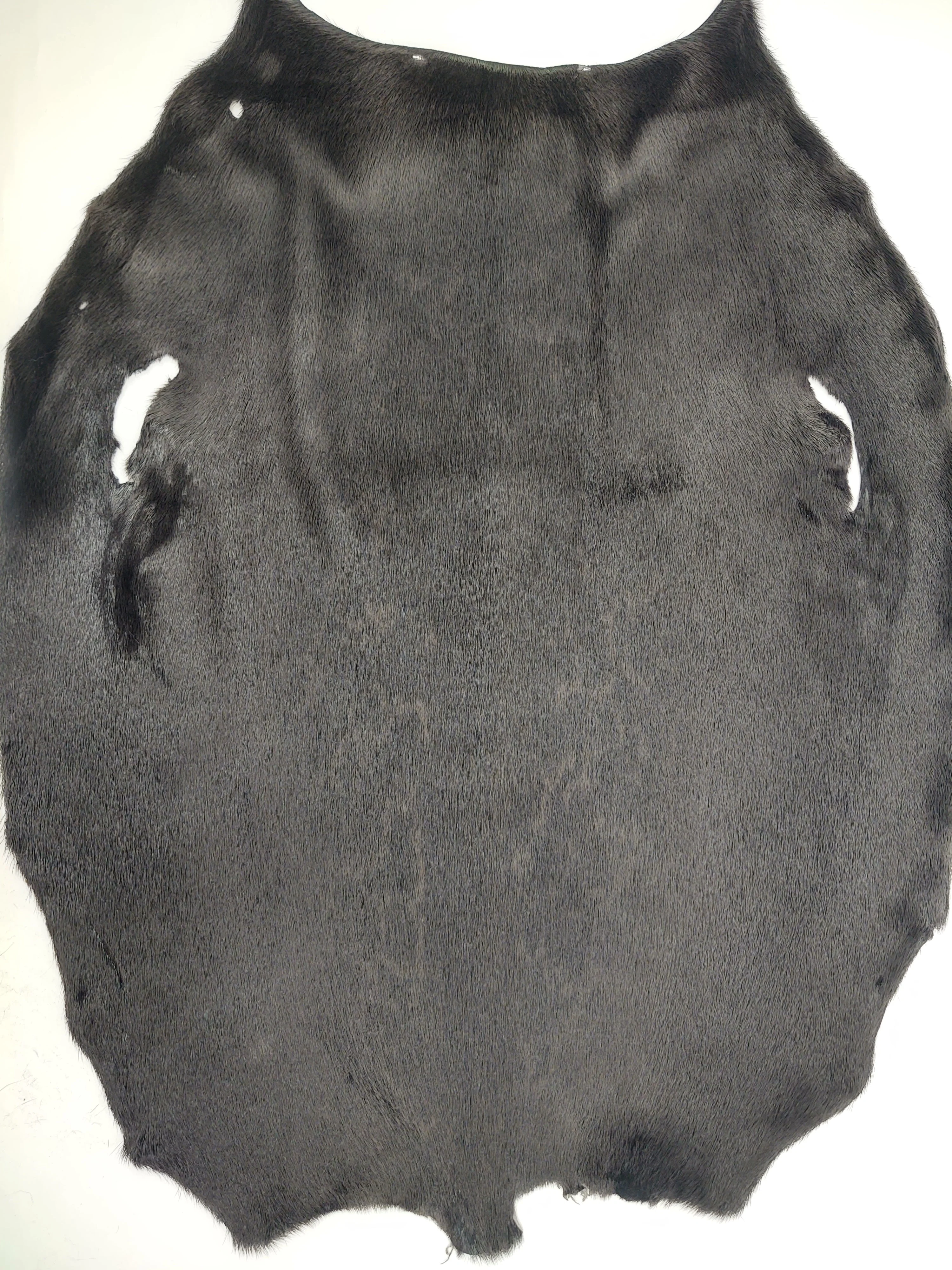 Ringet segl - brun - klædt pelshud - pels - Image 7