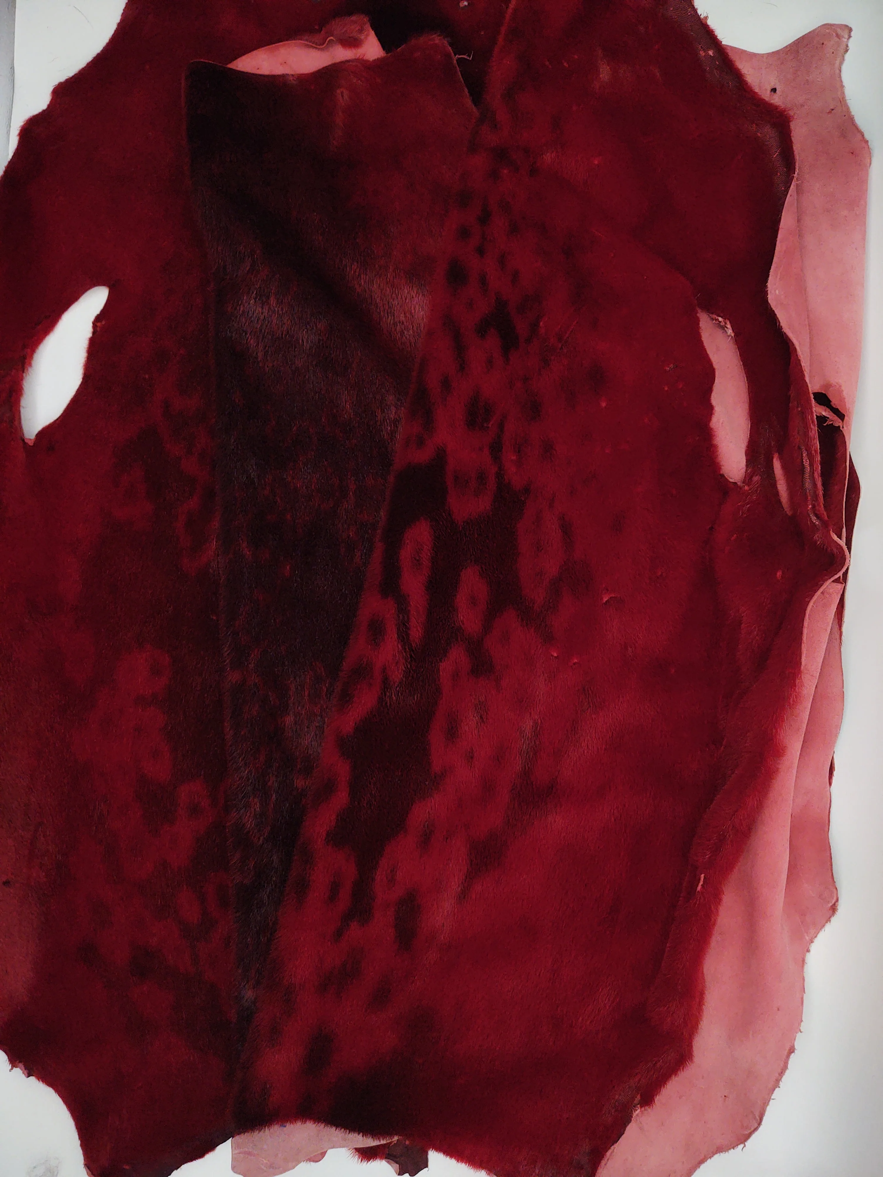 Ringet segl - rød - klædt pelshud - pels - Image 4