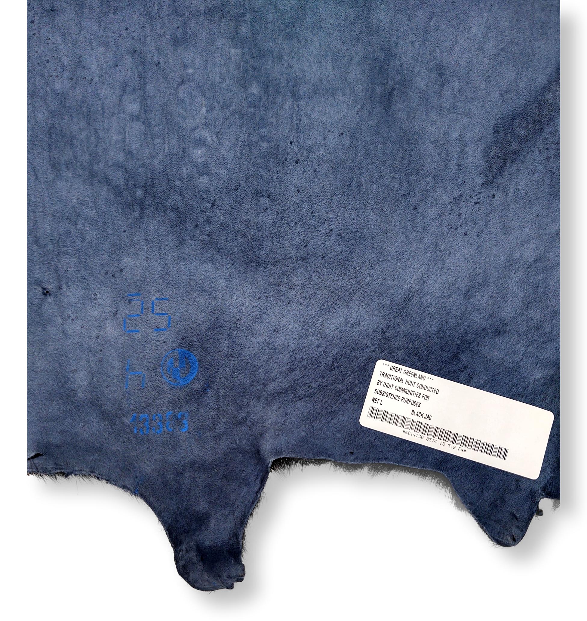 Sort sælskind - Ringsæl  - Image 3