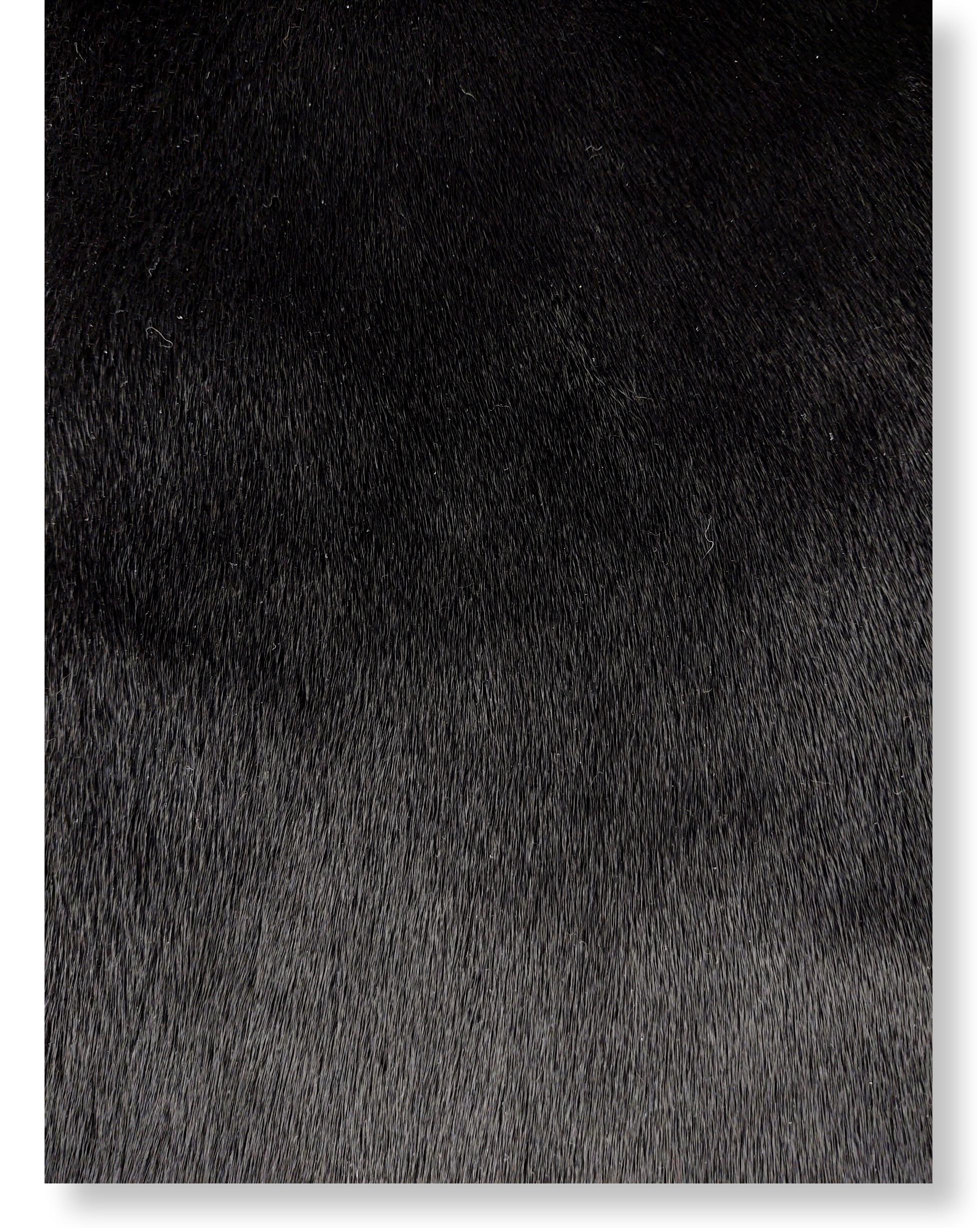 Sort sælskind - Ringsæl  - Image 4