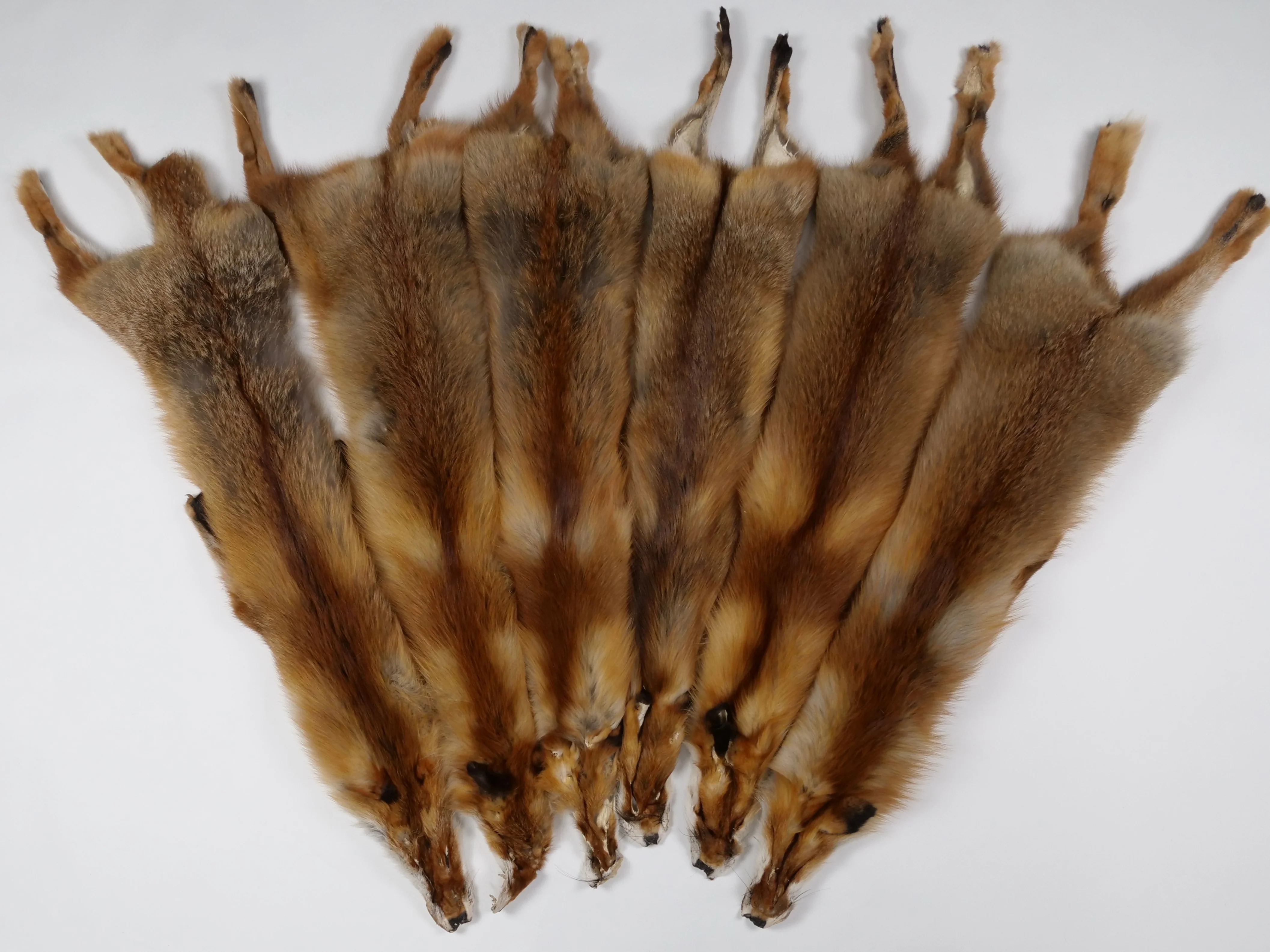 Rød ræv - klædt pelshud - pels - Image 4